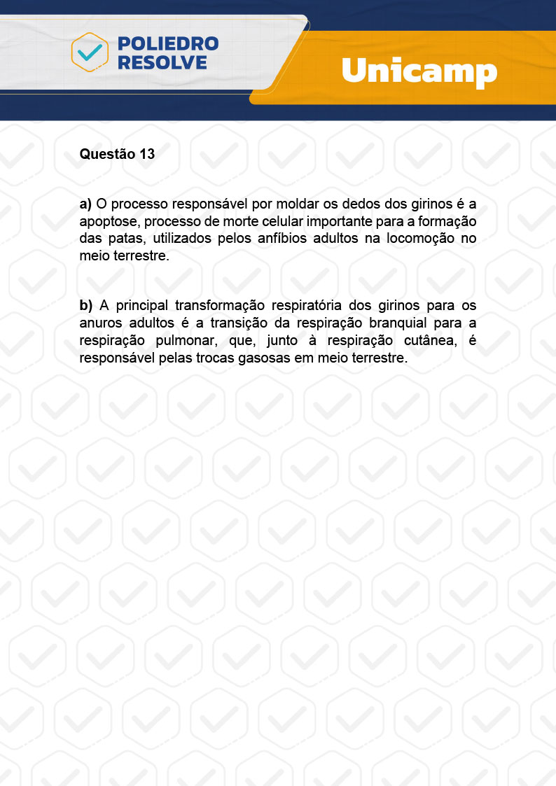 Dissertativa 13 - 2ª Fase - 2º Dia - Unicamp 2024