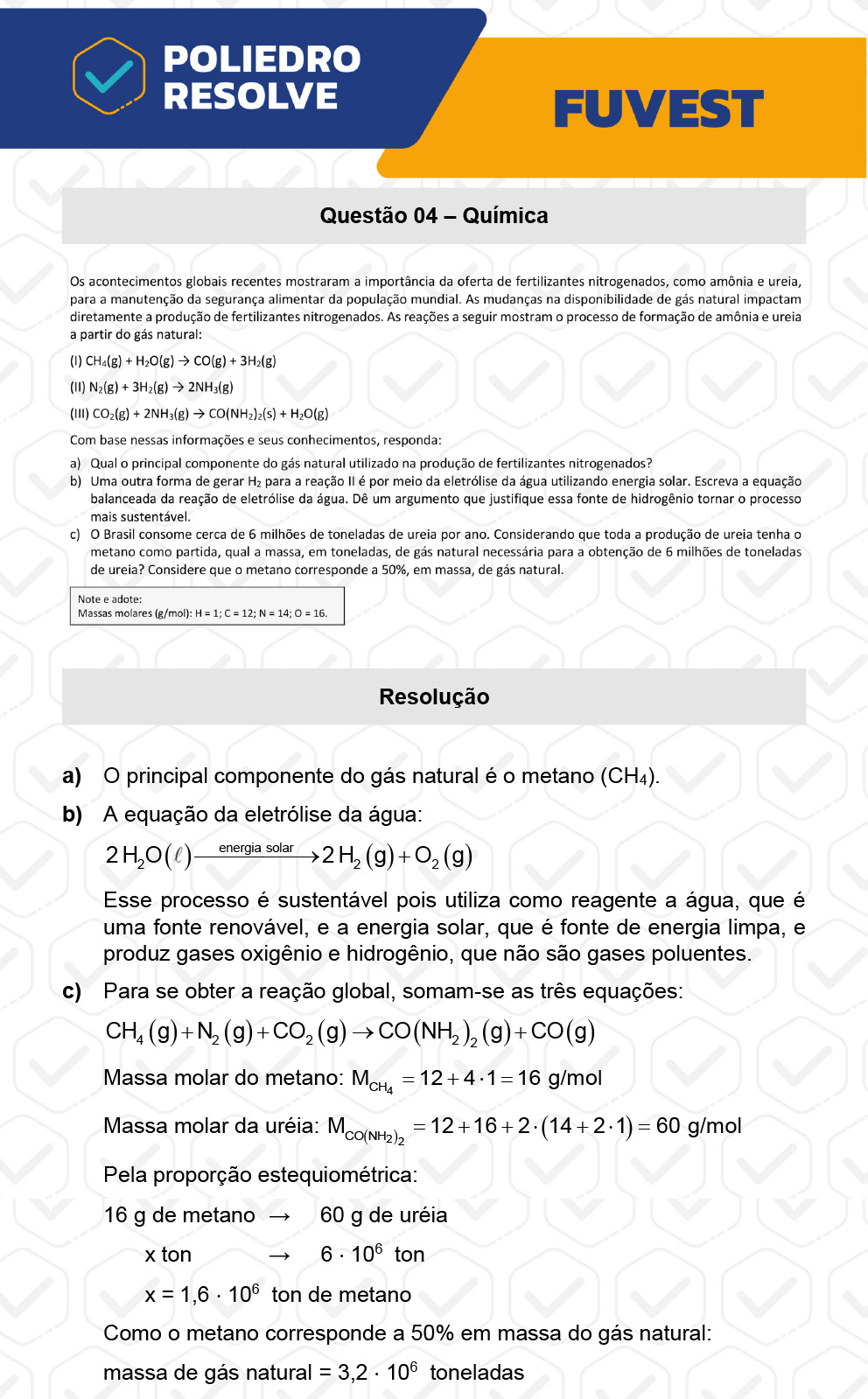 Dissertativa 4 - 2ª Fase - 2º Dia - Fuvest 2023