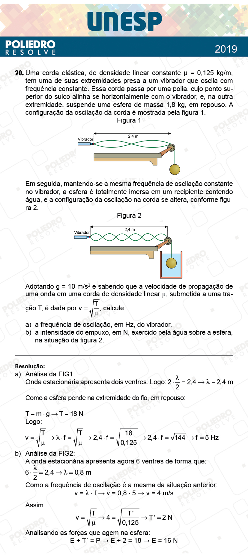 Dissertativa 20 - 2ª Fase - 1º Dia - Unesp 2019