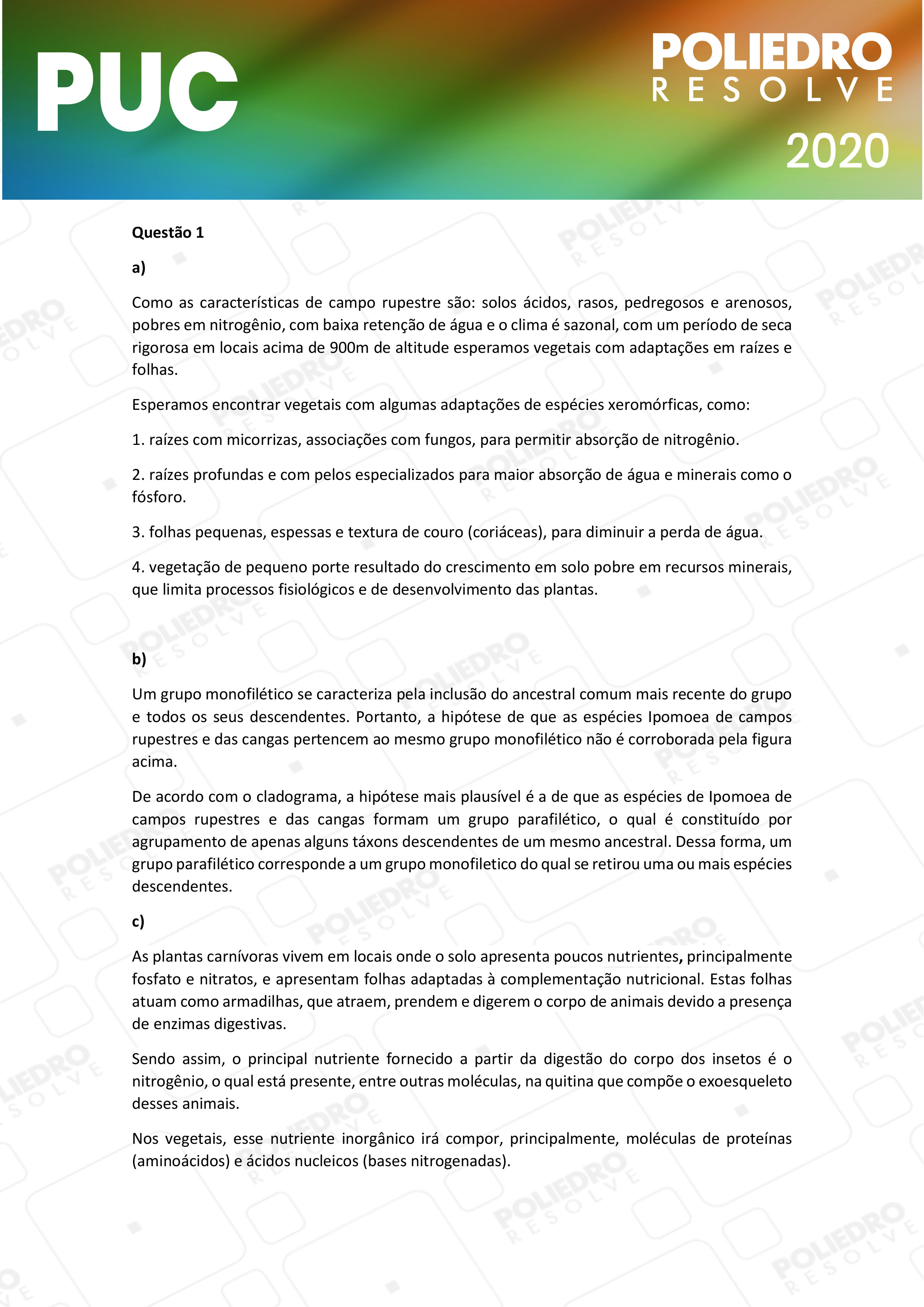 Dissertativa 1 - 2ª Fase - PUC Campinas 2020