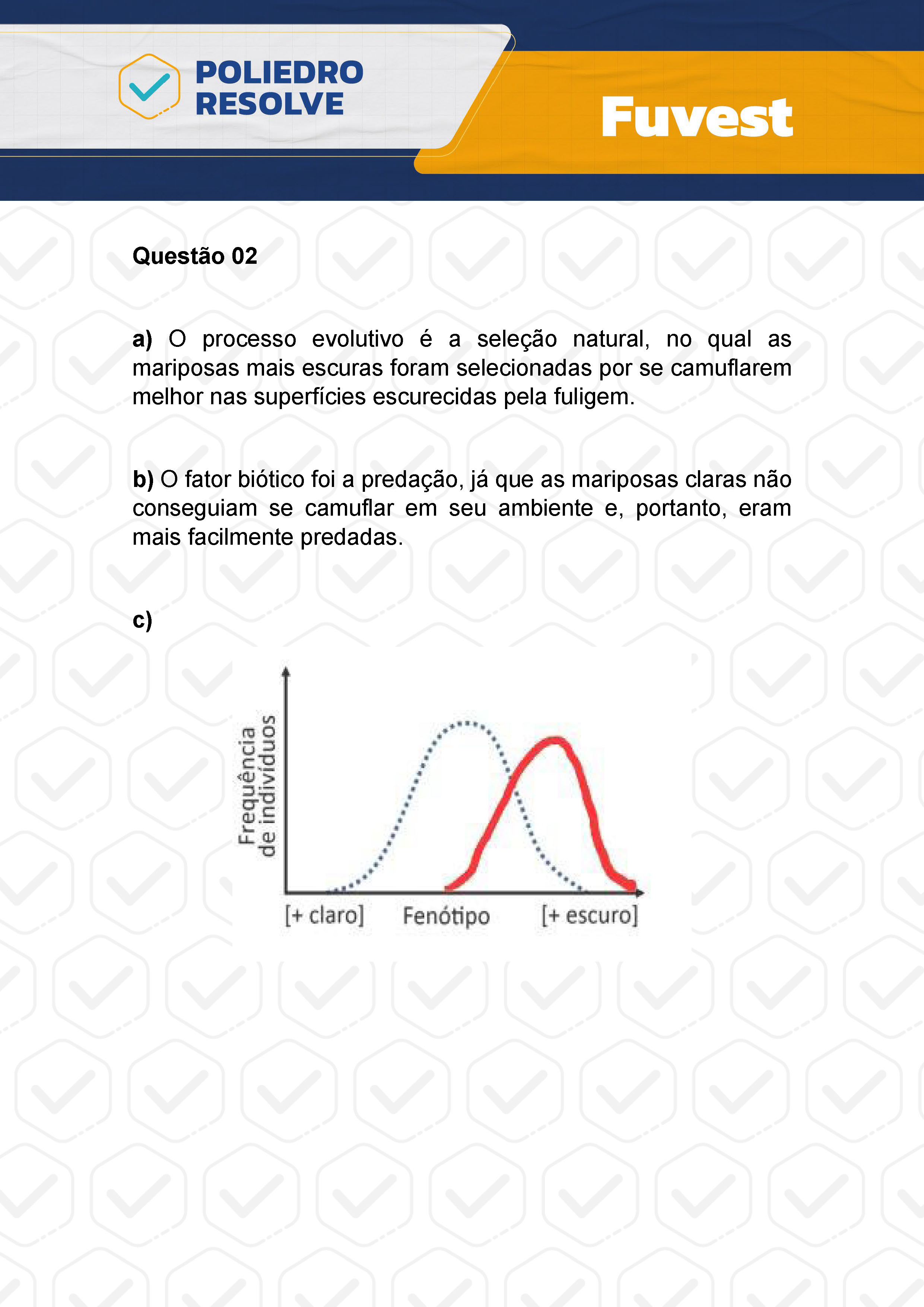 Dissertativa 2 - 2ª Fase - 2º Dia - Fuvest 2024