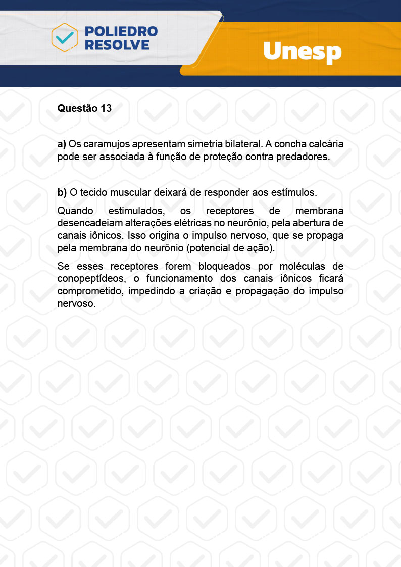 Dissertativa 13 - 2ª Fase - 1º Dia - Unesp 2024