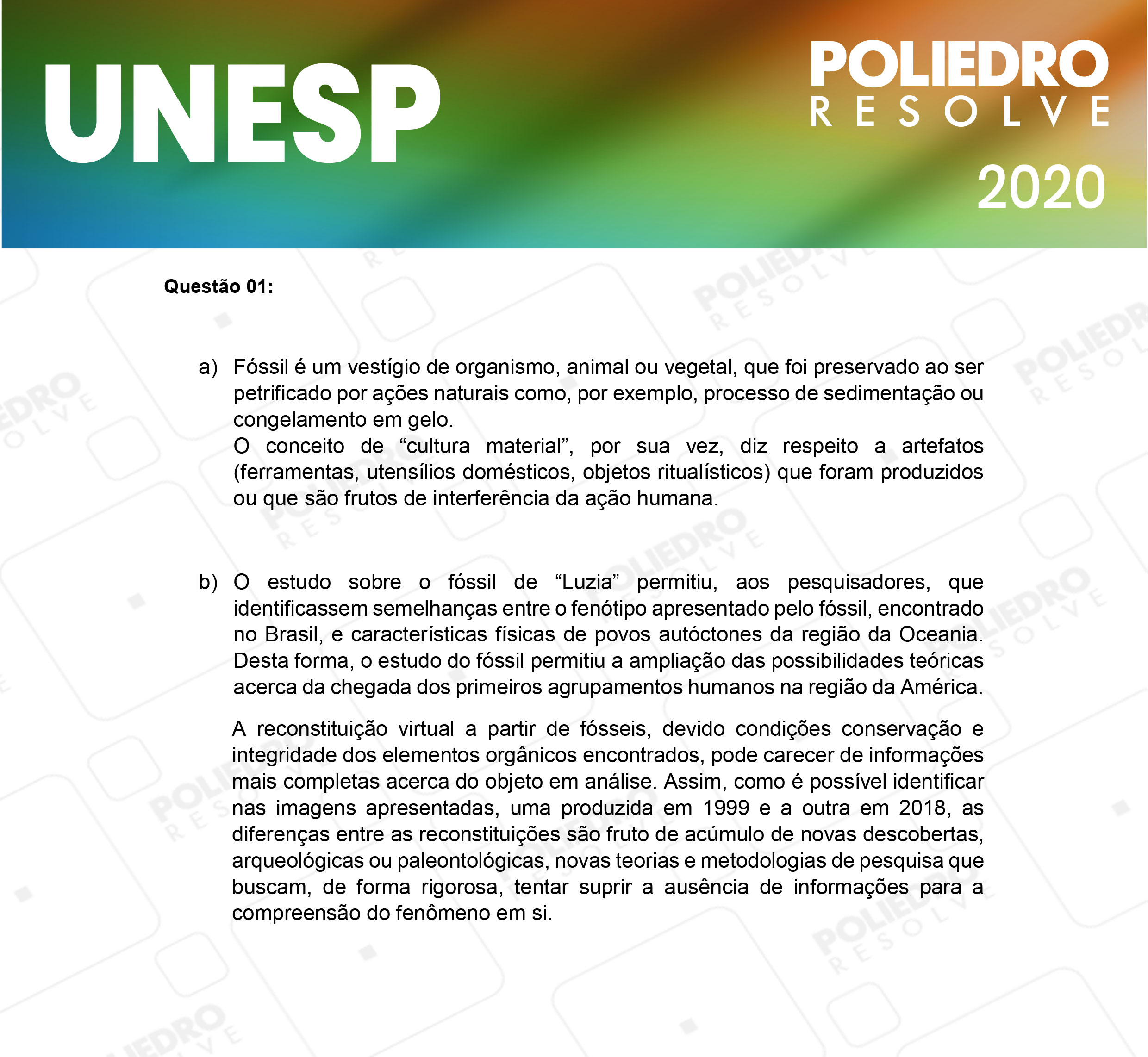 Dissertativa 1 - 2ª Fase - 1º Dia - Unesp 2020