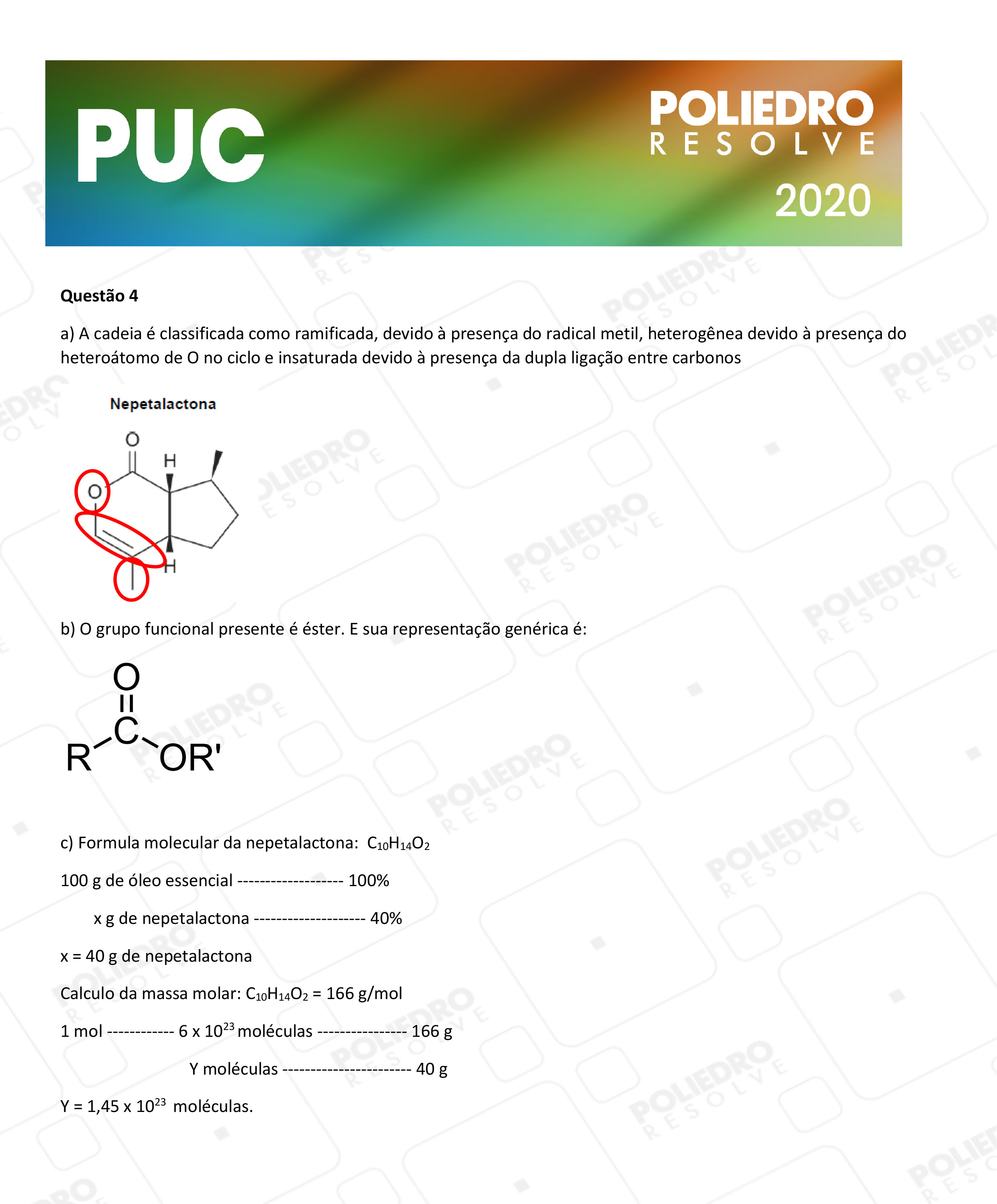 Dissertativa 4 - 2ª Fase - PUC Campinas 2020