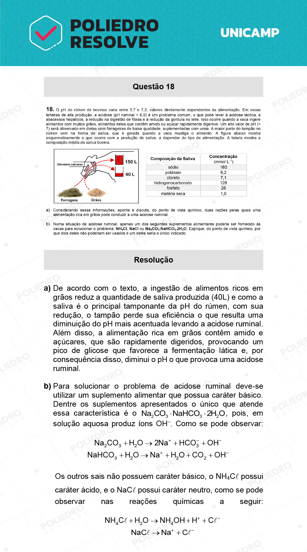 Dissertativa 18 - 2ª Fase - 2º Dia - Unicamp 2022