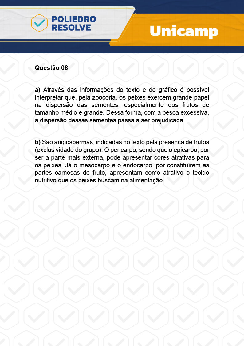 Dissertativa 8 - 2ª Fase - 2º Dia - Unicamp 2024