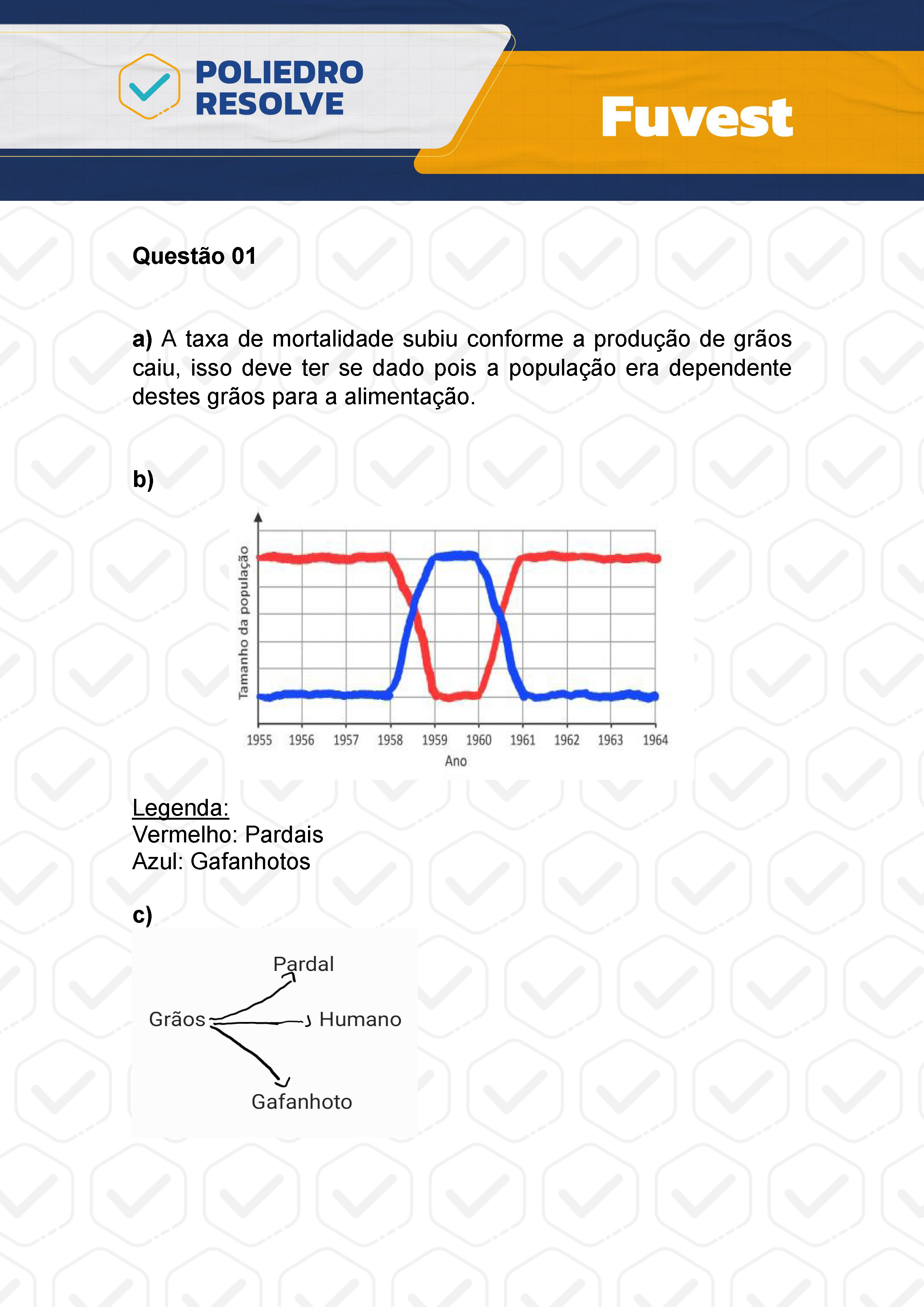 Dissertativa 1 - 2ª Fase - 2º Dia - Fuvest 2024