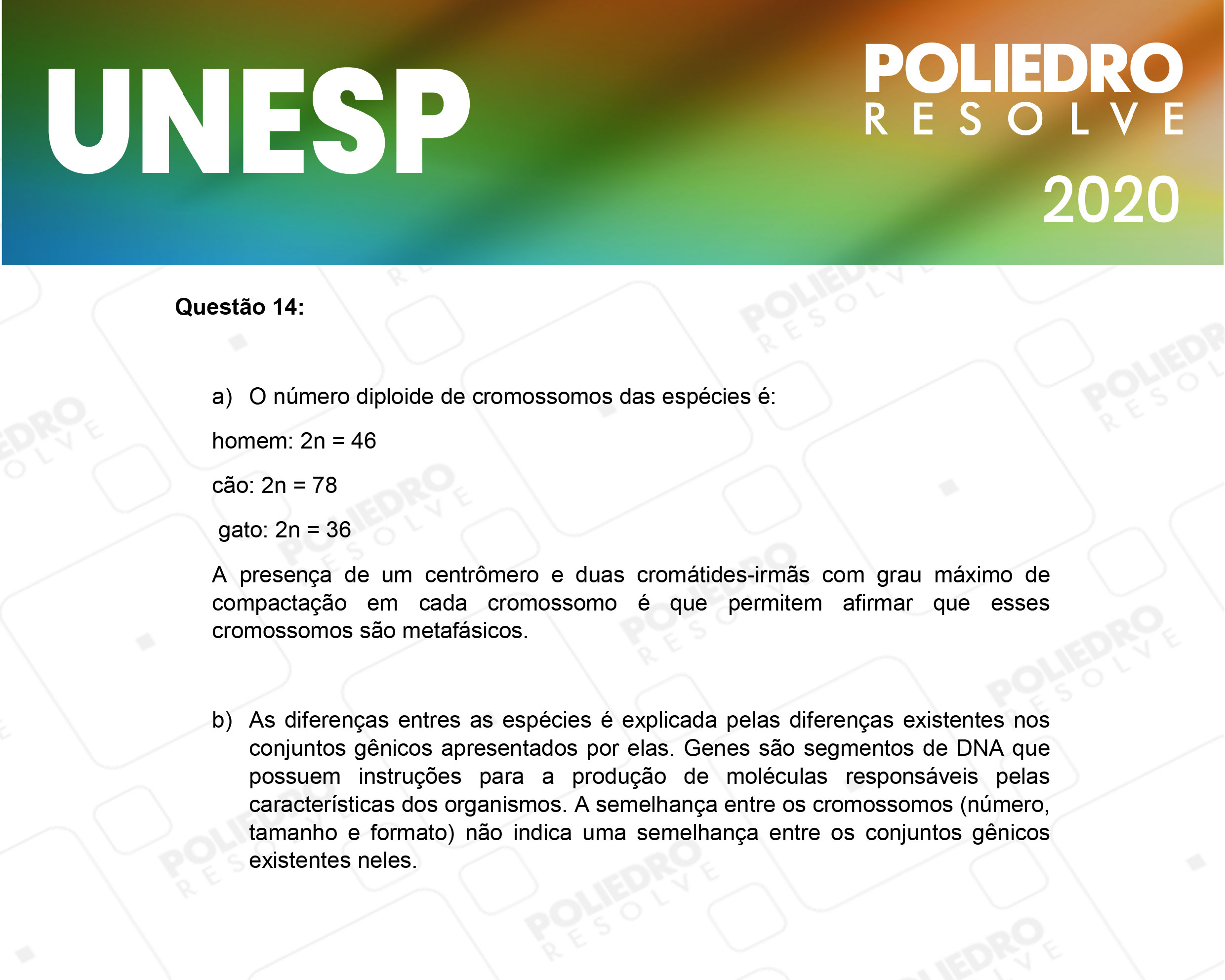 Dissertativa 14 - 2ª Fase - 1º Dia - Unesp 2020