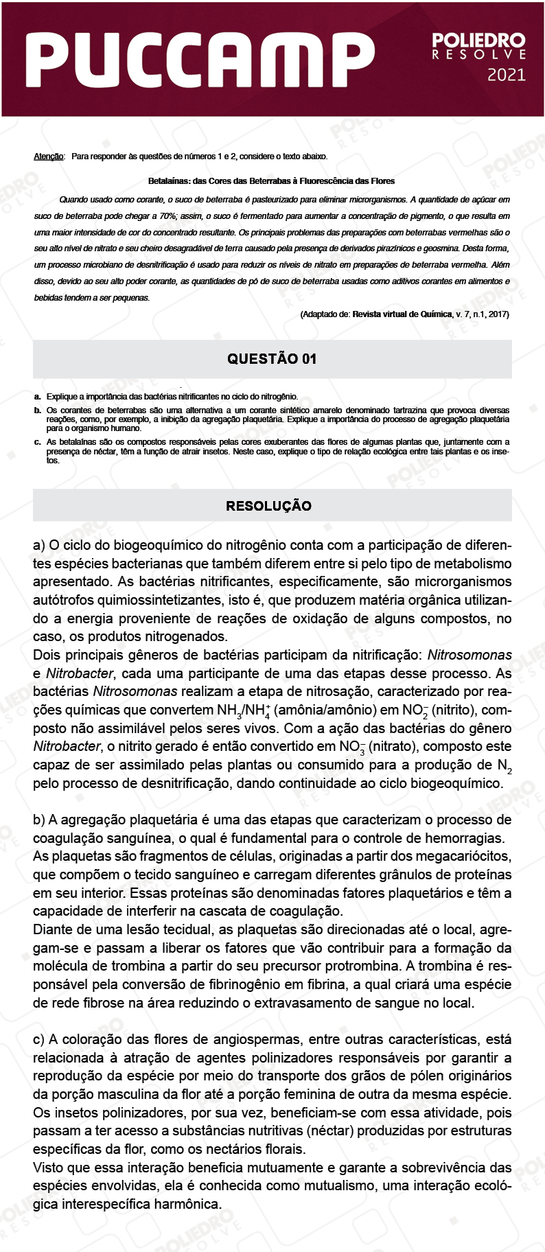 Dissertativa 1 - MEDICINA - PUC Campinas 2021