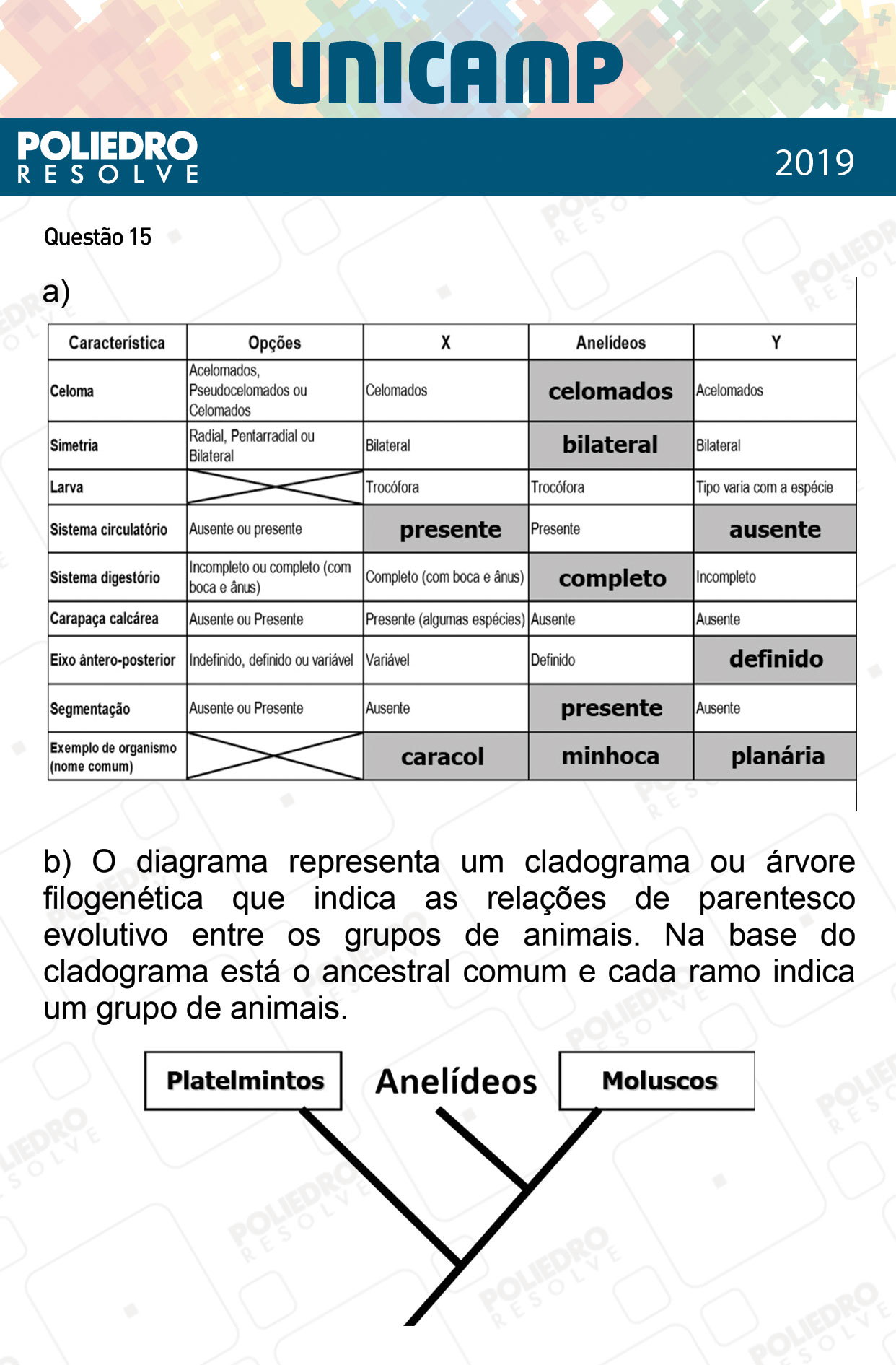 Dissertativa 15 - 2ª Fase - 3º Dia - Unicamp 2019