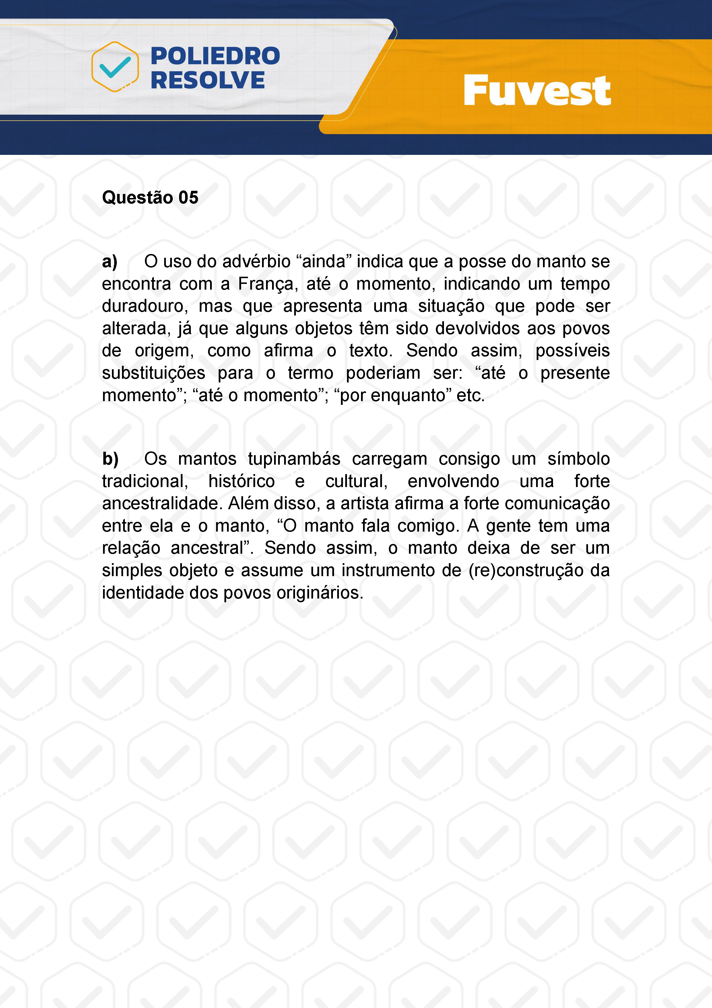 Dissertativa 5 - 2ª Fase - 1º Dia - Fuvest 2024