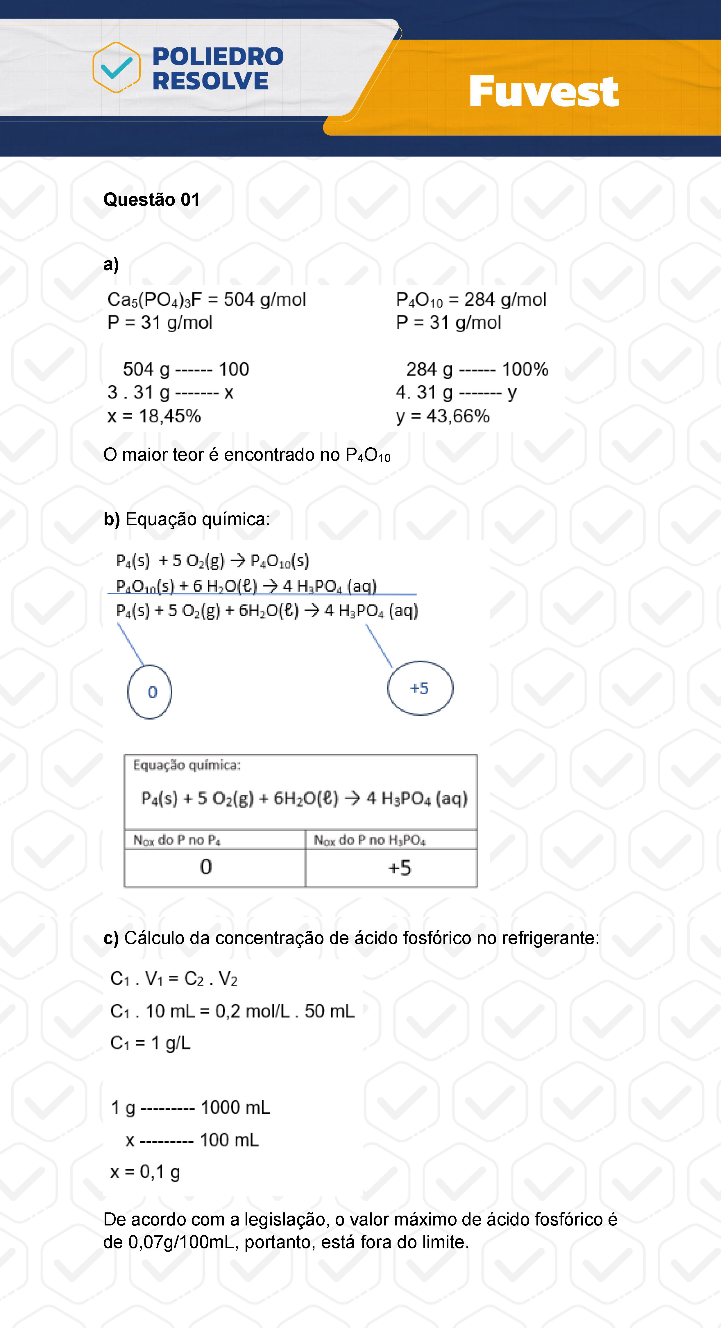 Dissertativa 1 - 2ª Fase - 2º Dia - Fuvest 2024
