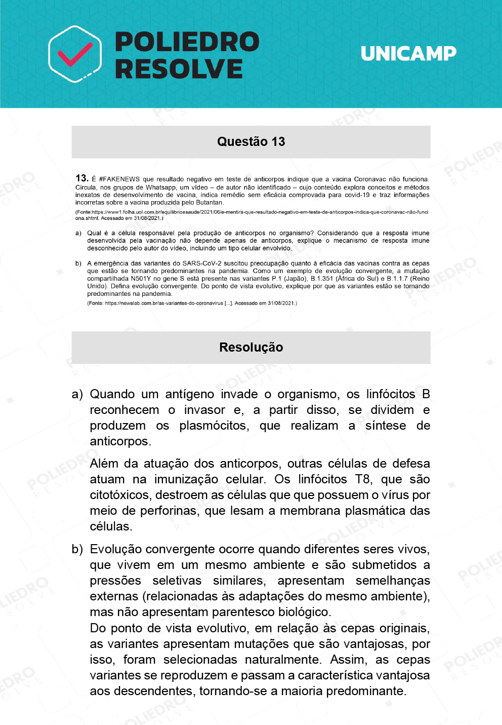 Dissertativa 13 - 2ª Fase - 2º Dia - Unicamp 2022