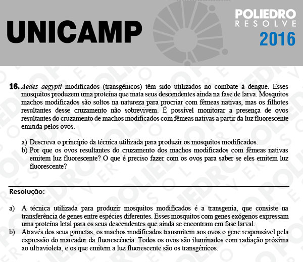 Dissertativa 16 - 2ª Fase 3º Dia - Unicamp 2016