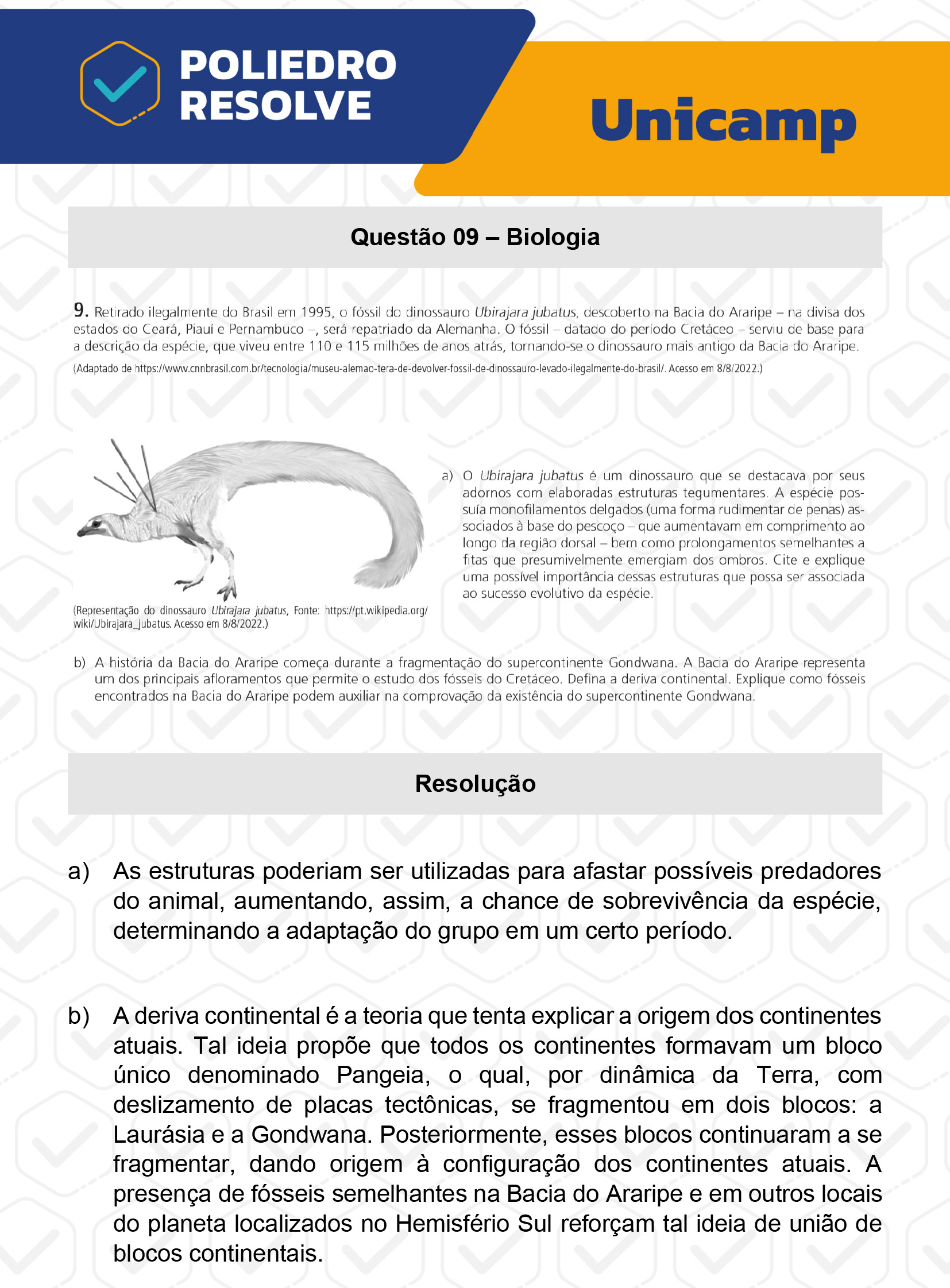 Dissertativa 9 - 2ª Fase - 2º Dia - Unicamp 2023