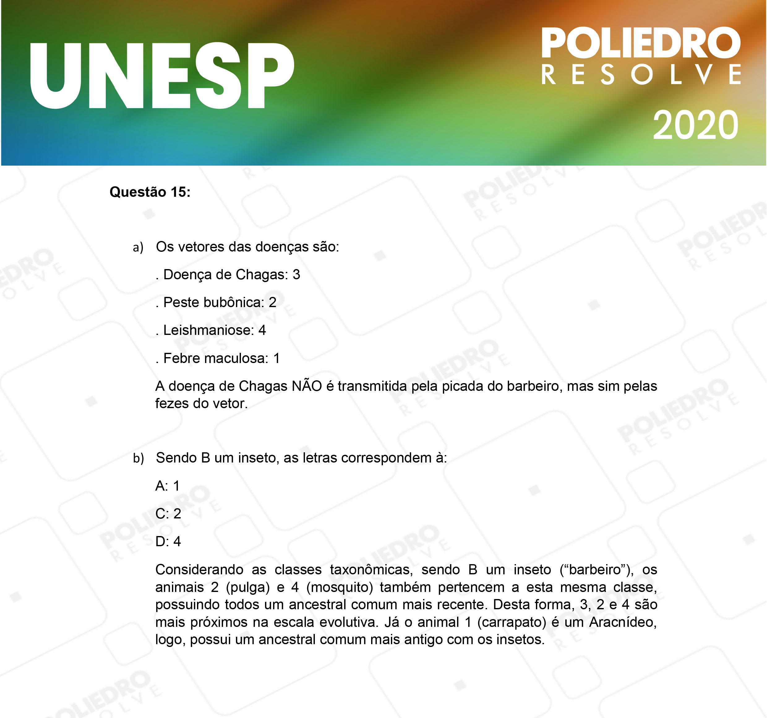 Dissertativa 15 - 2ª Fase - 1º Dia - Unesp 2020