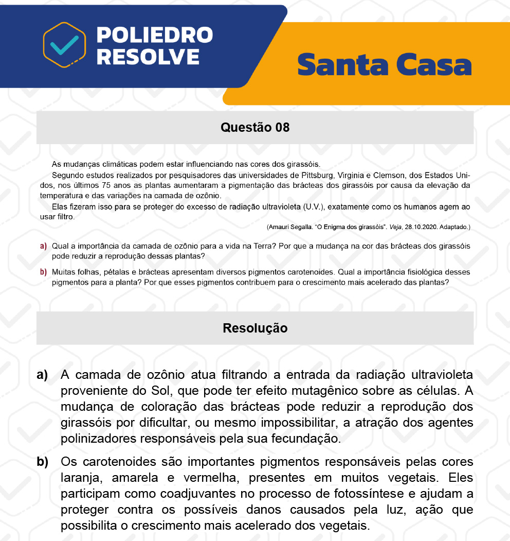 Dissertativa 8 - 2º Dia - Santa Casa 2023