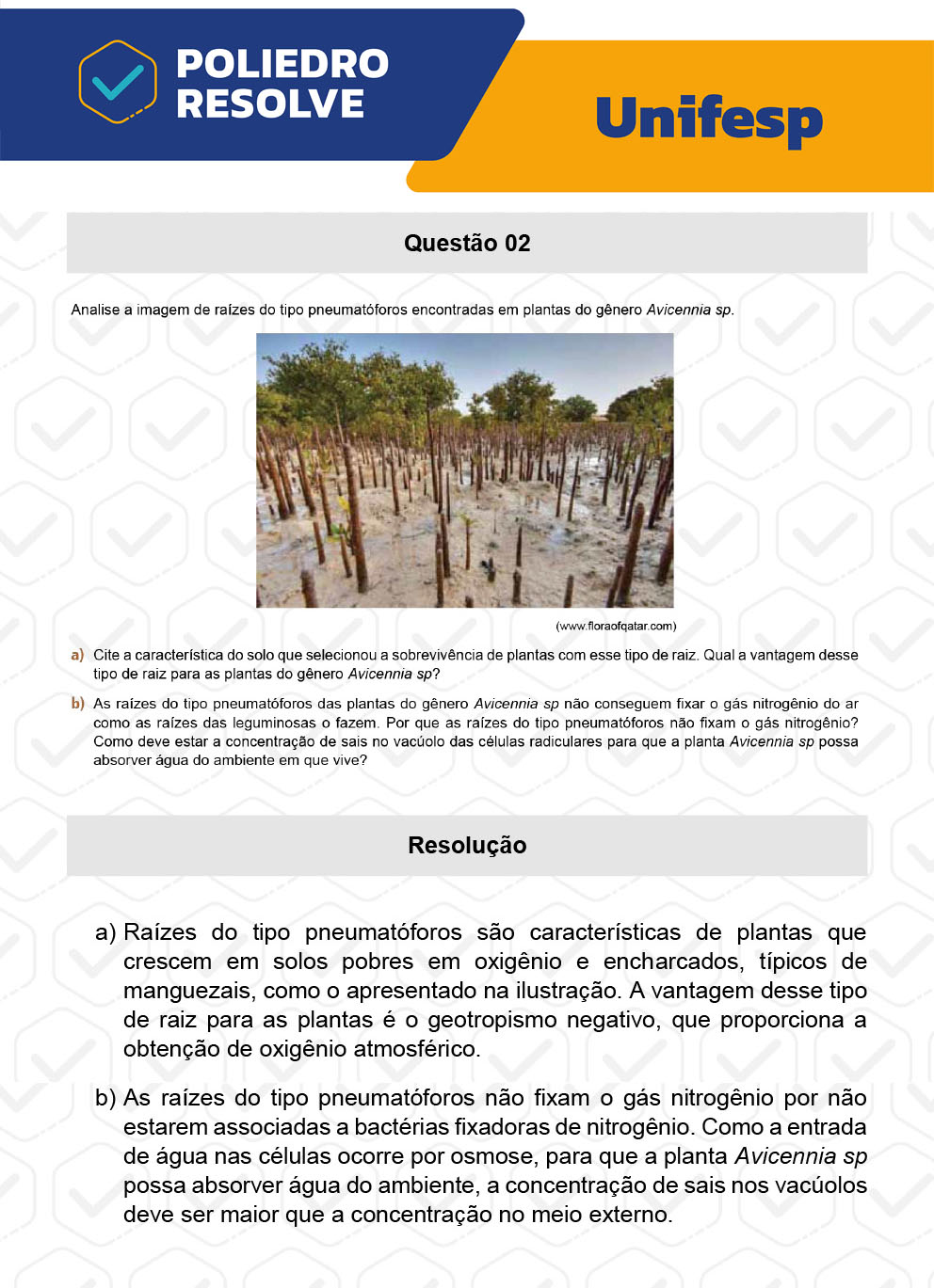 Dissertativa 2 - 2º Dia - Unifesp 2023