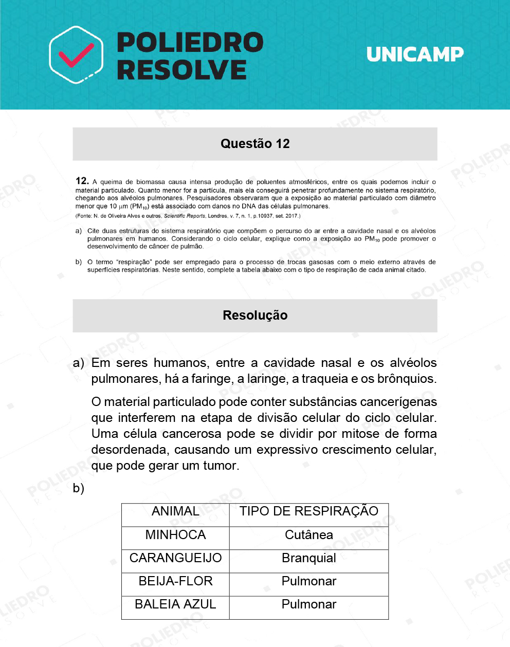 Dissertativa 12 - 2ª Fase - 2º Dia - Unicamp 2022