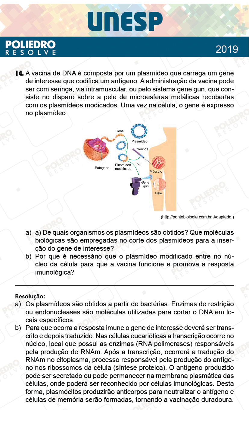 Dissertativa 14 - 2ª Fase - 1º Dia - Unesp 2019