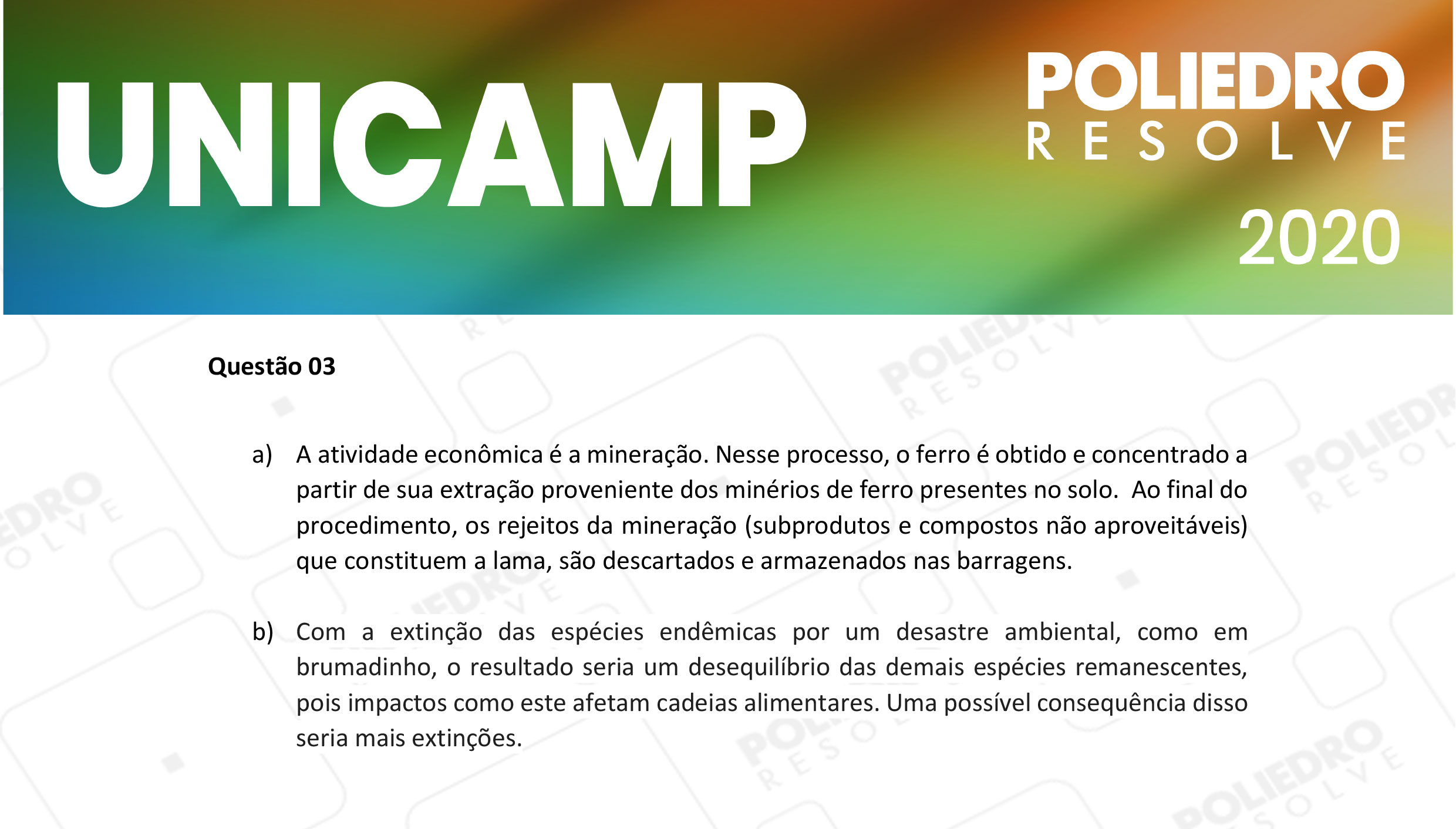 Dissertativa 3 - 2ª Fase - 2º Dia - Unicamp 2020