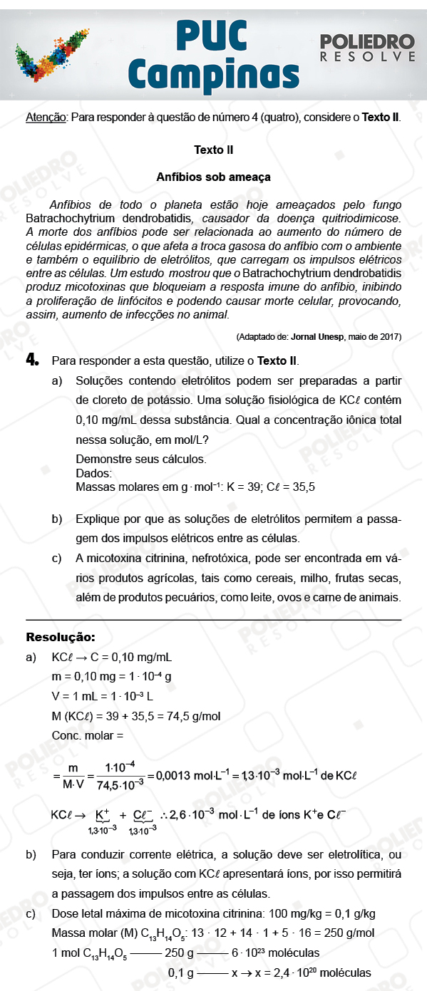 Dissertativa 4 - 2ª Fase - PUC Campinas 2018