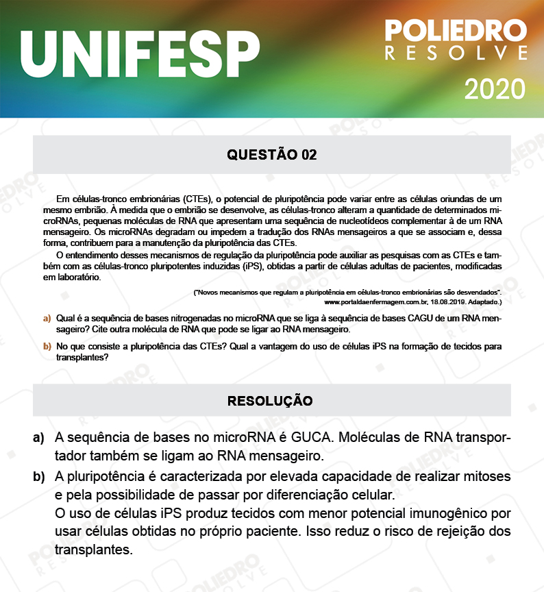 Dissertativa 2 - Fase única - 2º Dia - Unifesp 2020