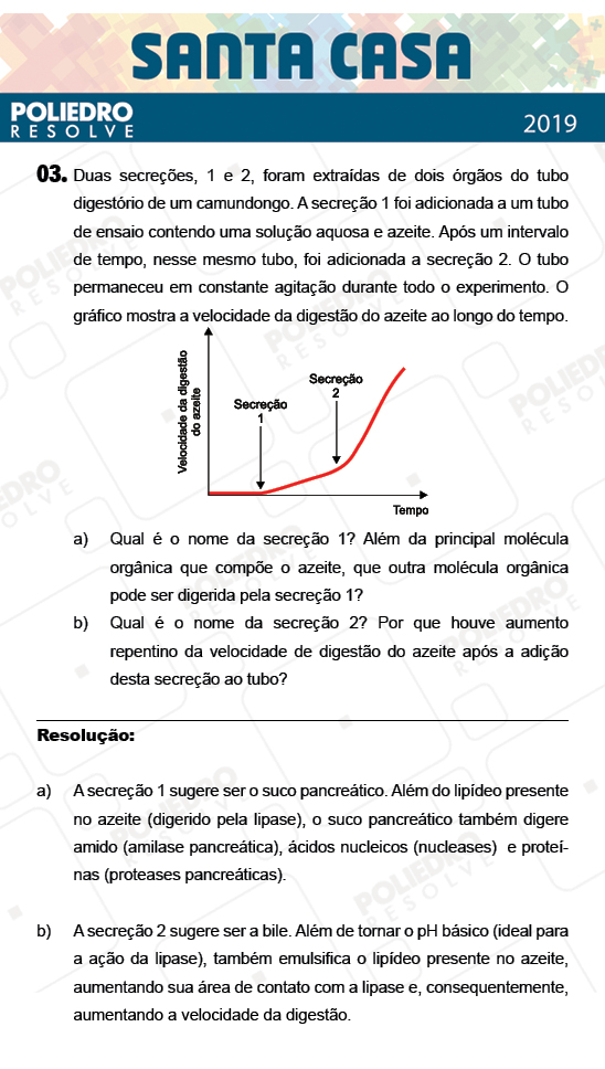 Dissertativa 3 - 1º Dia - Dissertativas - Santa Casa 2019