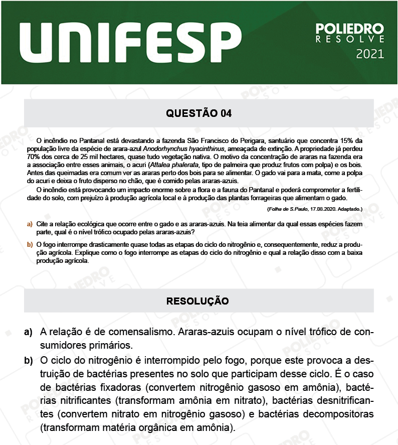 Dissertativa 4 - Fase única - 2º Dia - Unifesp 2021