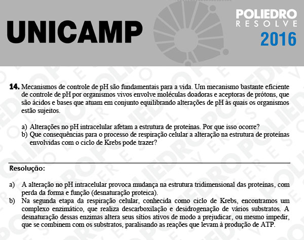 Dissertativa 14 - 2ª Fase 3º Dia - Unicamp 2016
