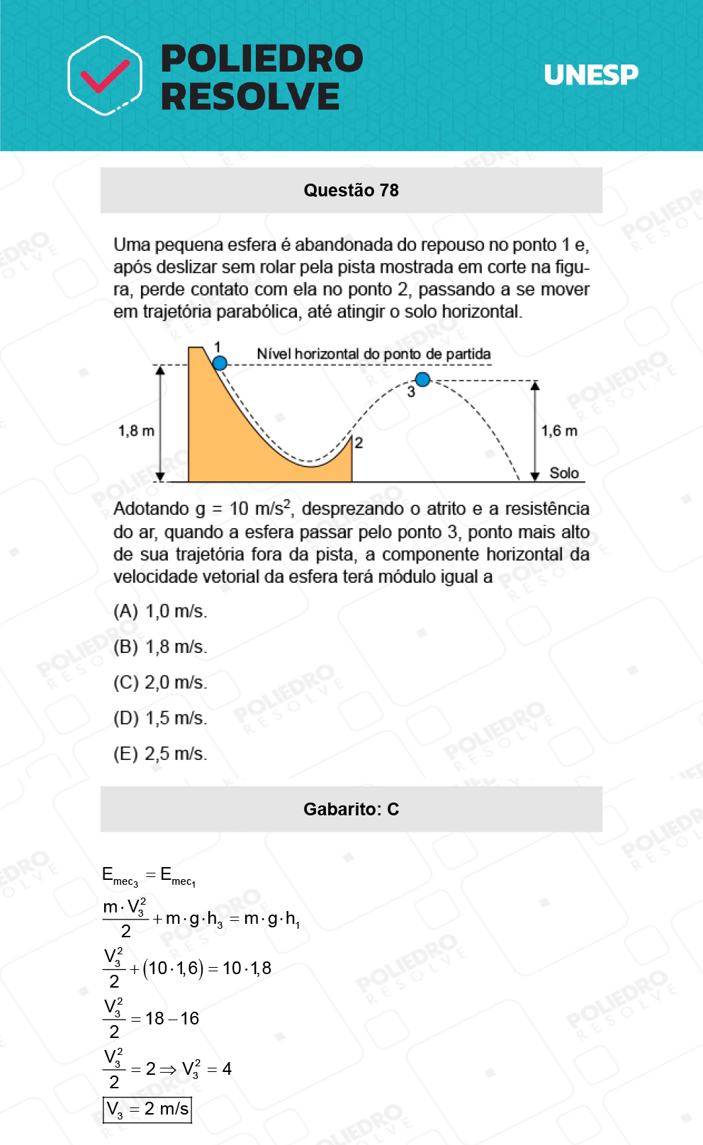 Questão 78 - 1ª Fase - Biológicas - UNESP 2022