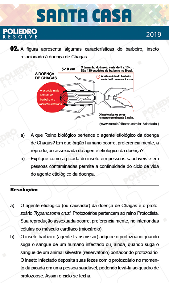 Dissertativa 2 - 1º Dia - Dissertativas - Santa Casa 2019