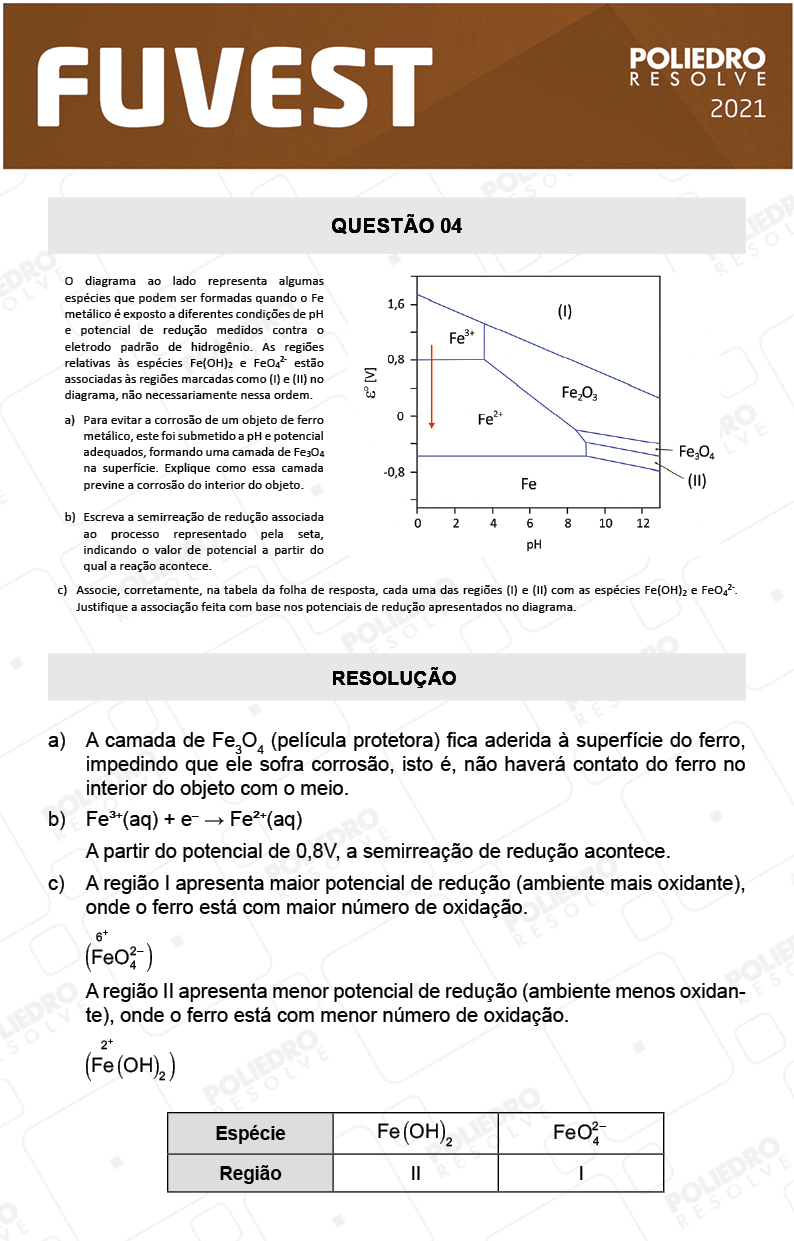 Dissertativa 4 - 2ª Fase - 2º Dia - Fuvest 2021