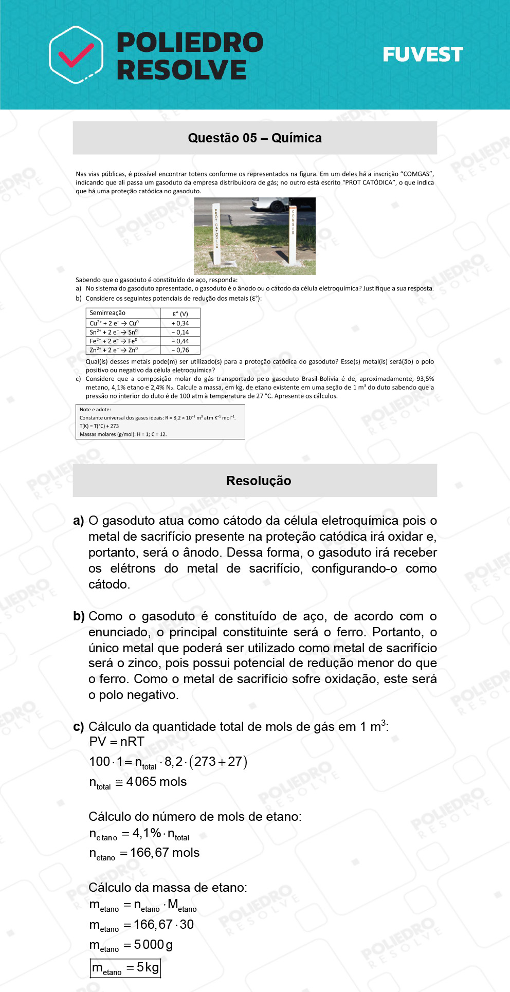 Dissertativa 5 - 2ª Fase - 2º Dia - Fuvest 2022