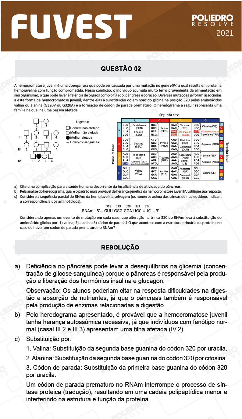 Dissertativa 2 - 2ª Fase - 2º Dia - Fuvest 2021