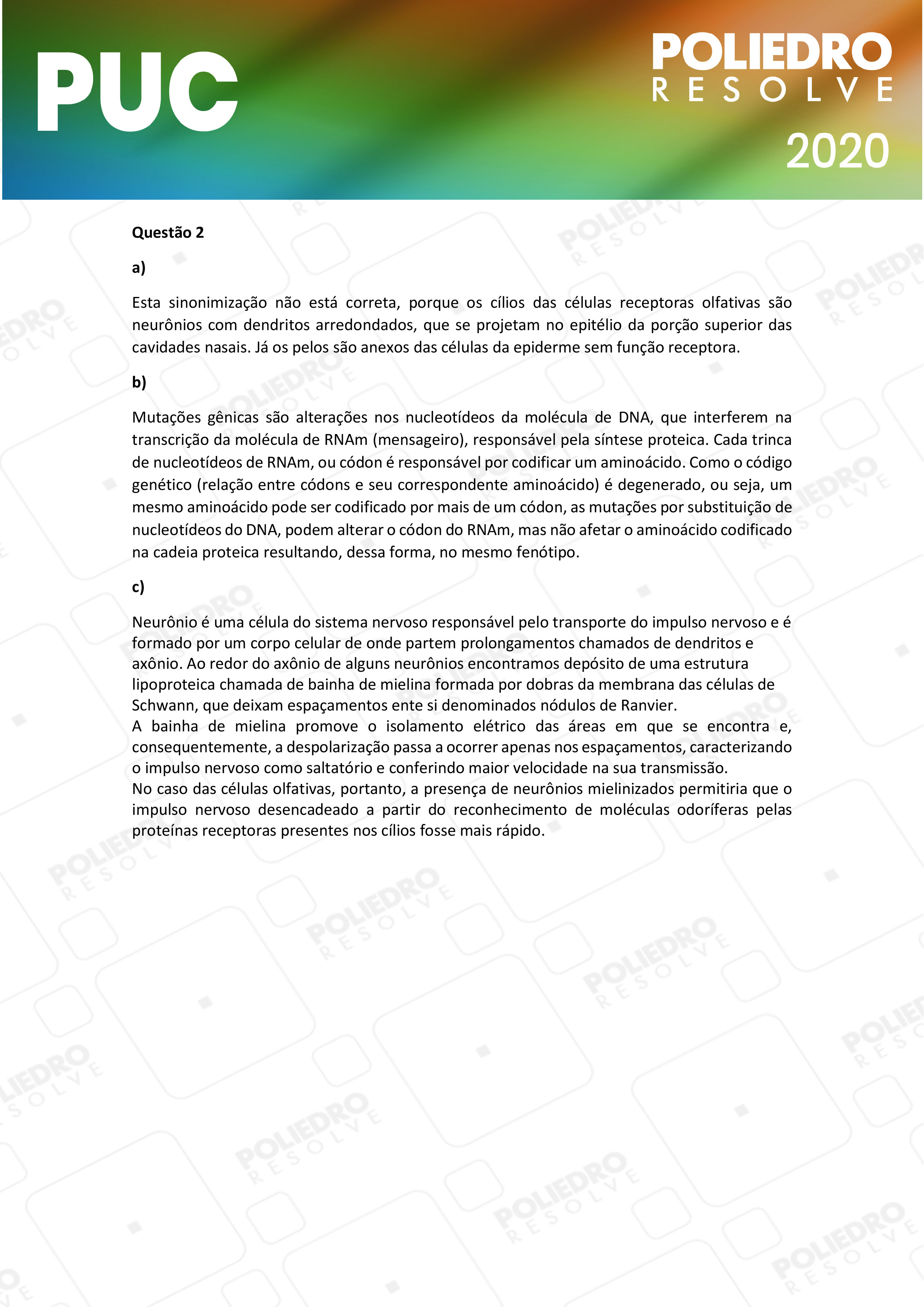 Dissertativa 2 - 2ª Fase - PUC Campinas 2020