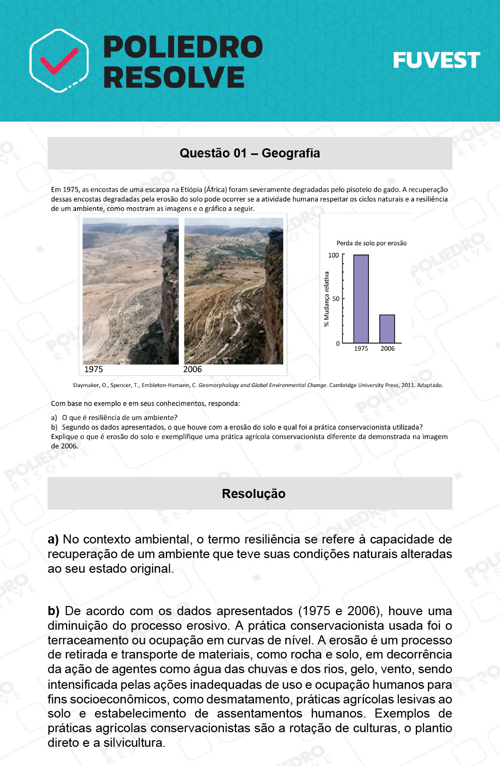Dissertativa 1 - 2ª Fase - 2º Dia - Fuvest 2022