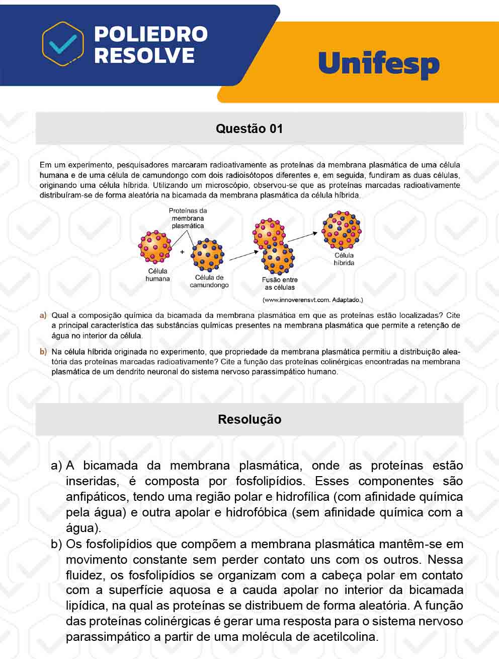 Dissertativa 1 - 2º Dia - Unifesp 2023
