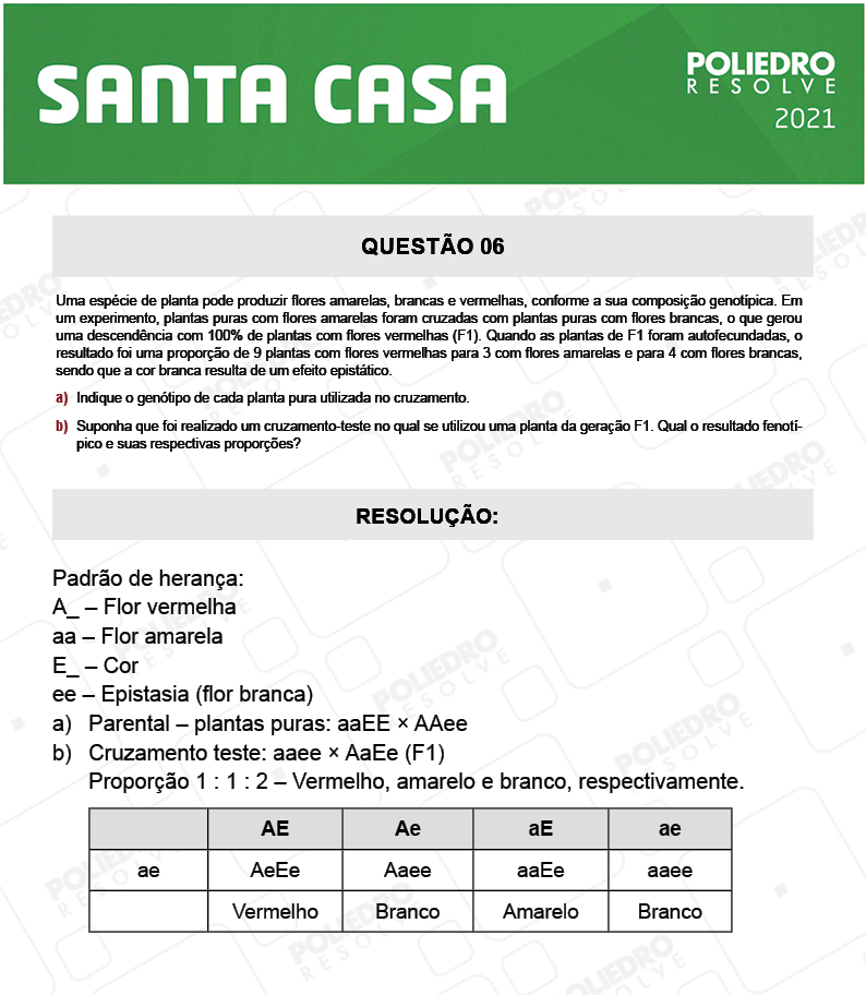 Dissertativa 6 - 2º Dia - Santa Casa 2021