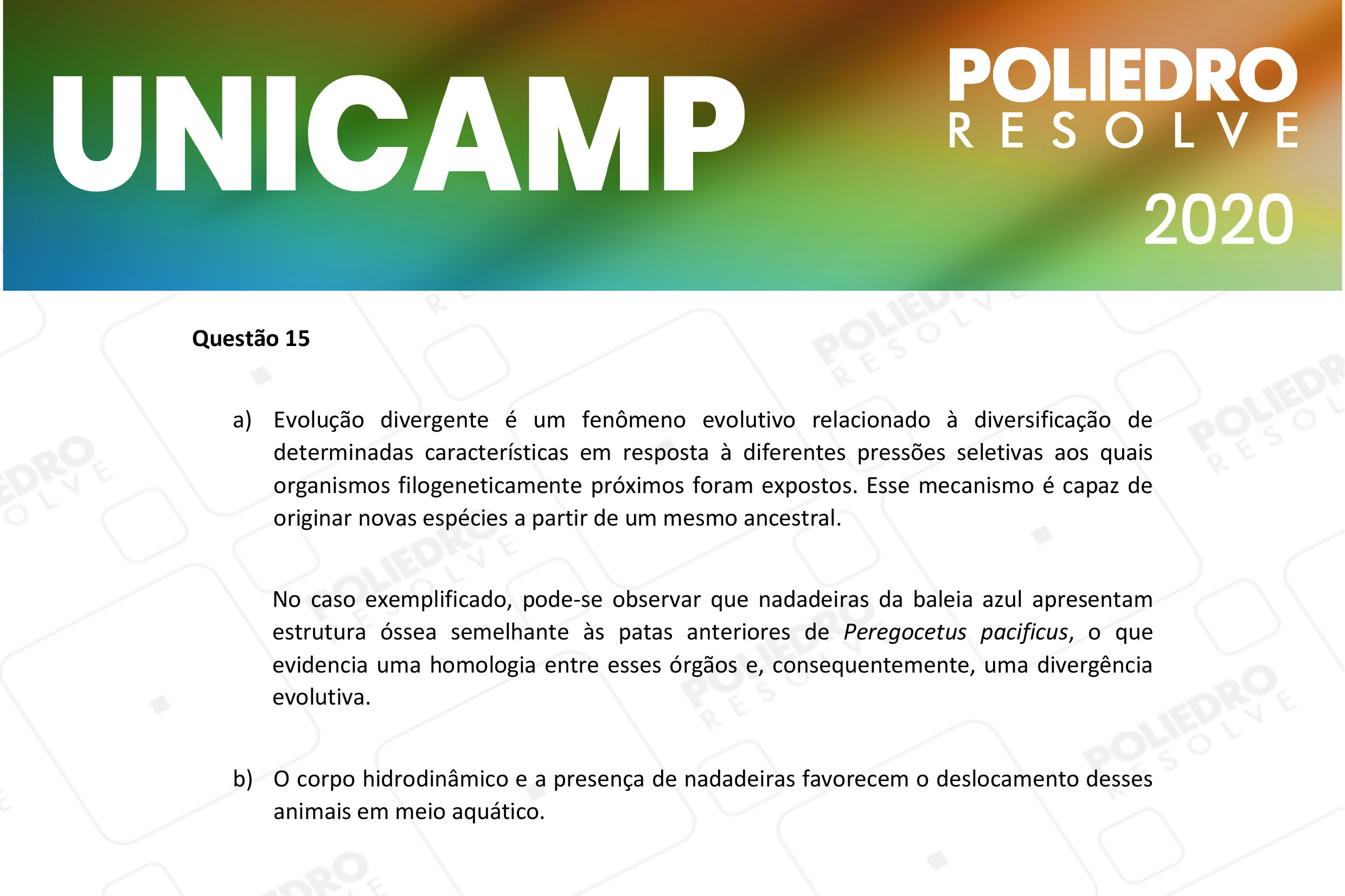 Dissertativa 15 - 2ª Fase - 2º Dia - Unicamp 2020