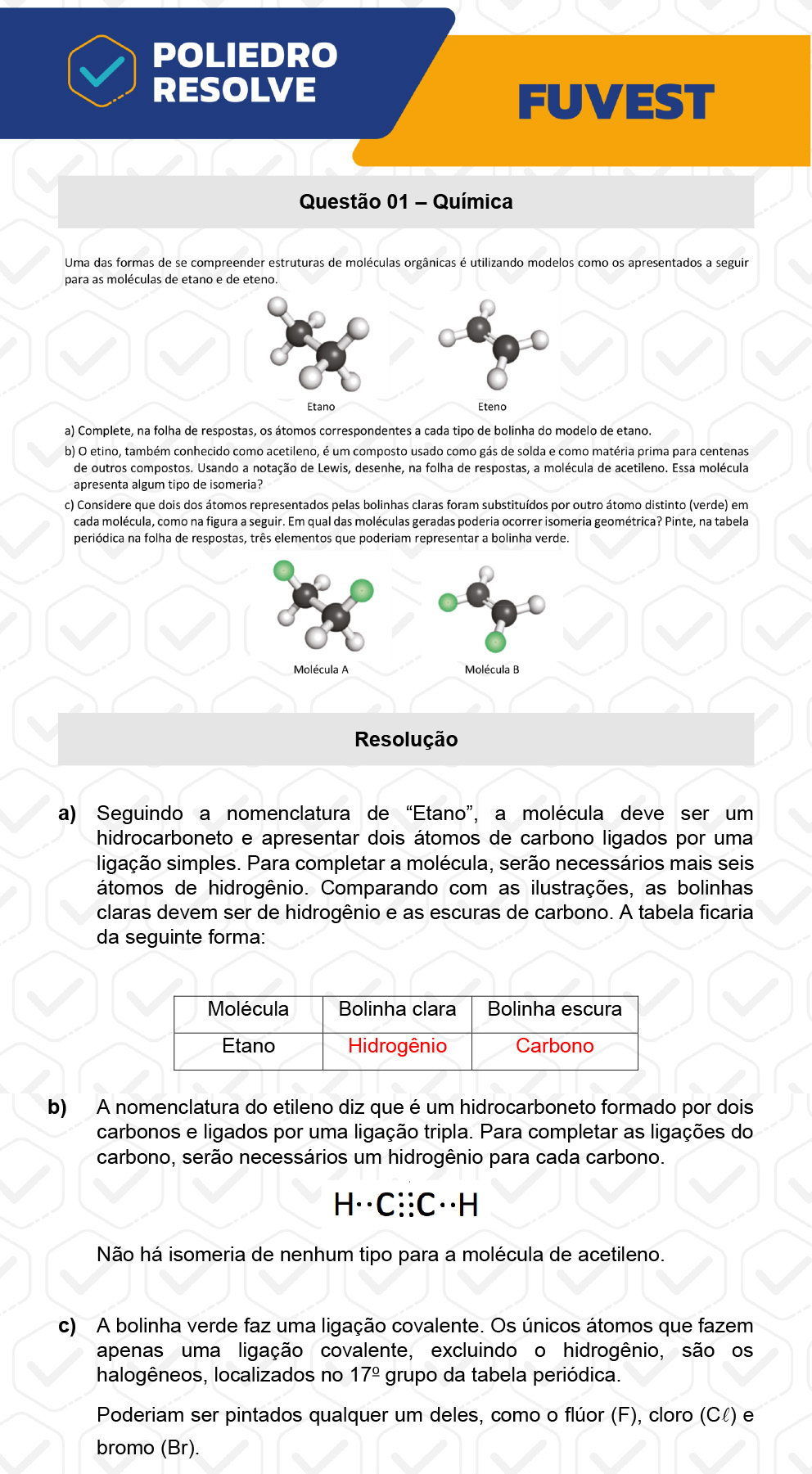 Dissertativa 1 - 2ª Fase - 2º Dia - Fuvest 2023