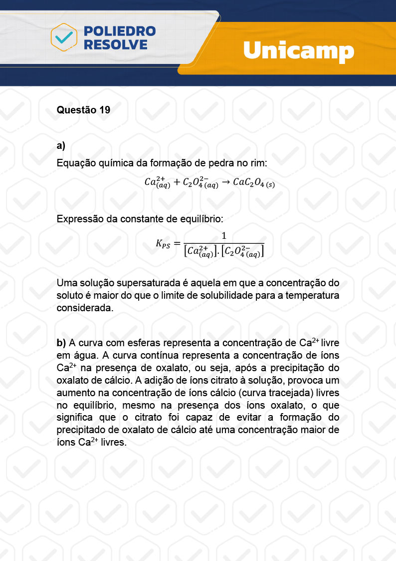 Dissertativa 19 - 2ª Fase - 2º Dia - Unicamp 2024