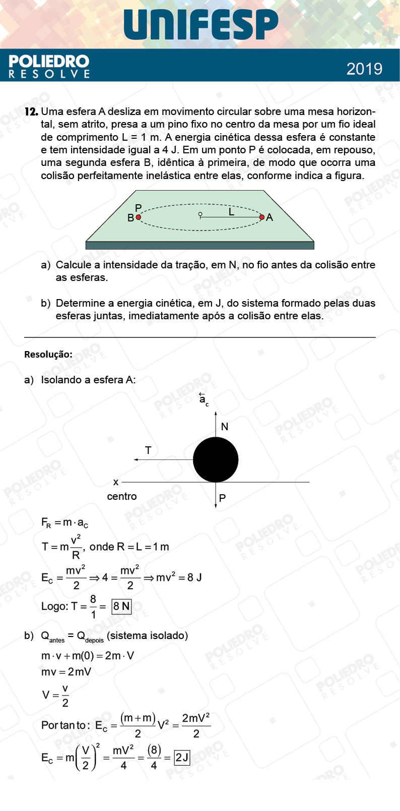 Dissertativa 12 - Fase única - 2º Dia - Unifesp 2019