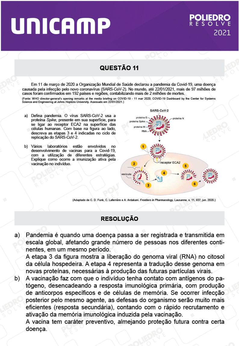 Dissertativa 11 - 2ª Fase - 2º Dia - Unicamp 2021