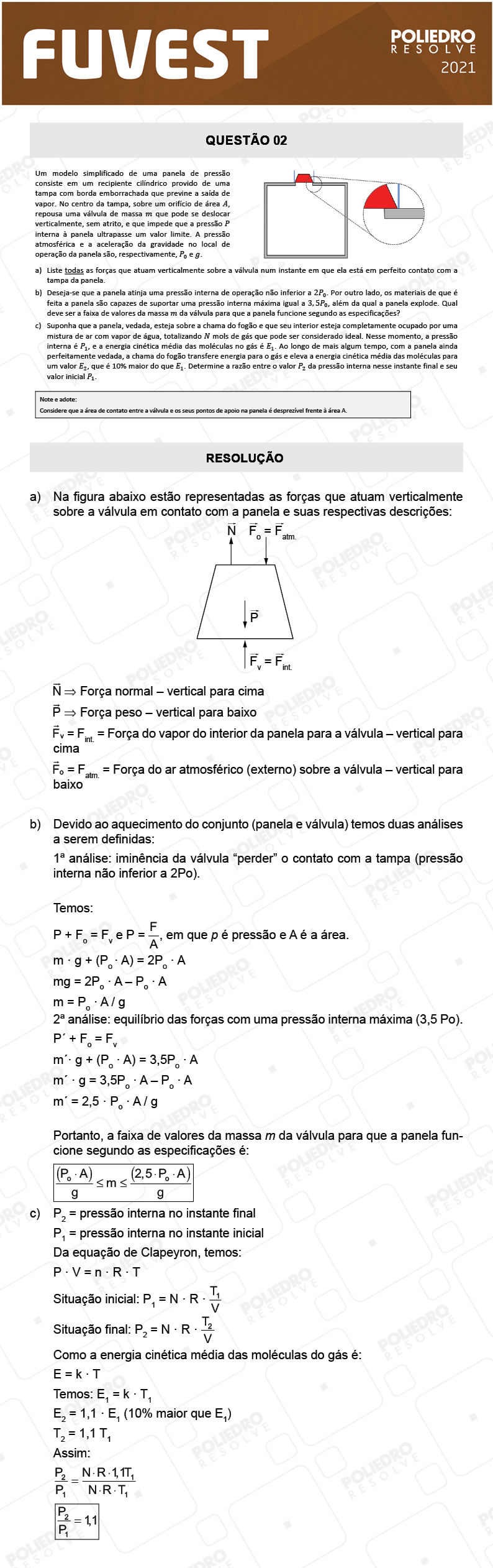 Dissertativa 2 - 2ª Fase - 2º Dia - Fuvest 2021