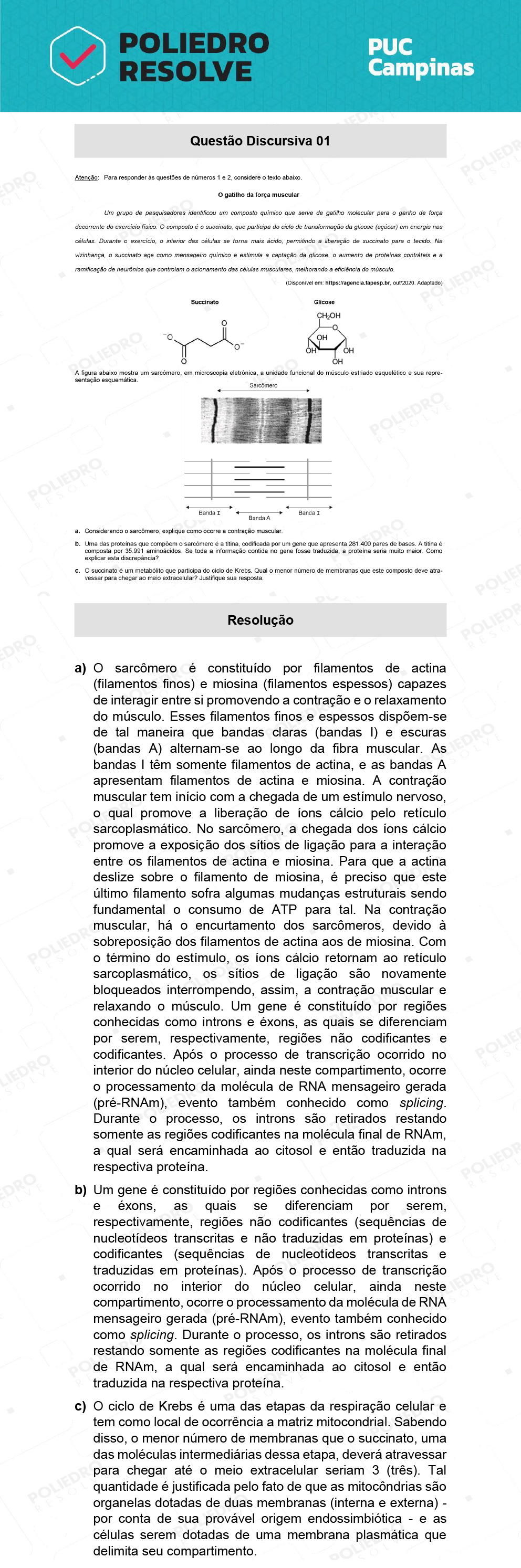 Dissertativa 1 - Prova Geral e Medicina - PUC Campinas 2022