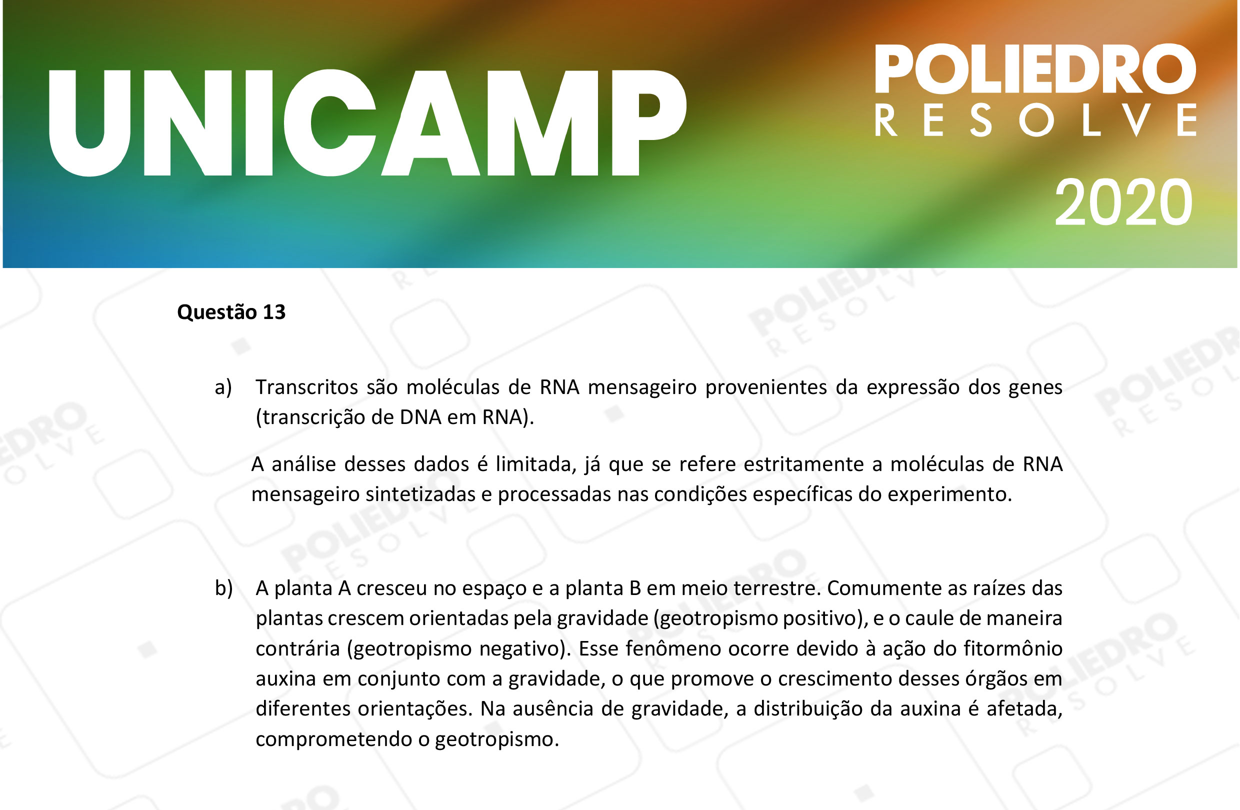 Dissertativa 13 - 2ª Fase - 2º Dia - Unicamp 2020
