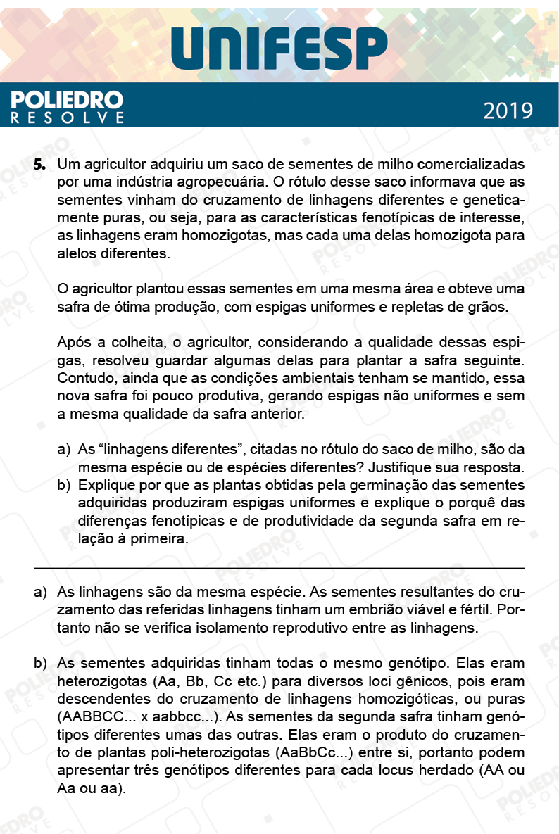 Dissertativa 5 - Fase única - 2º Dia - Unifesp 2019