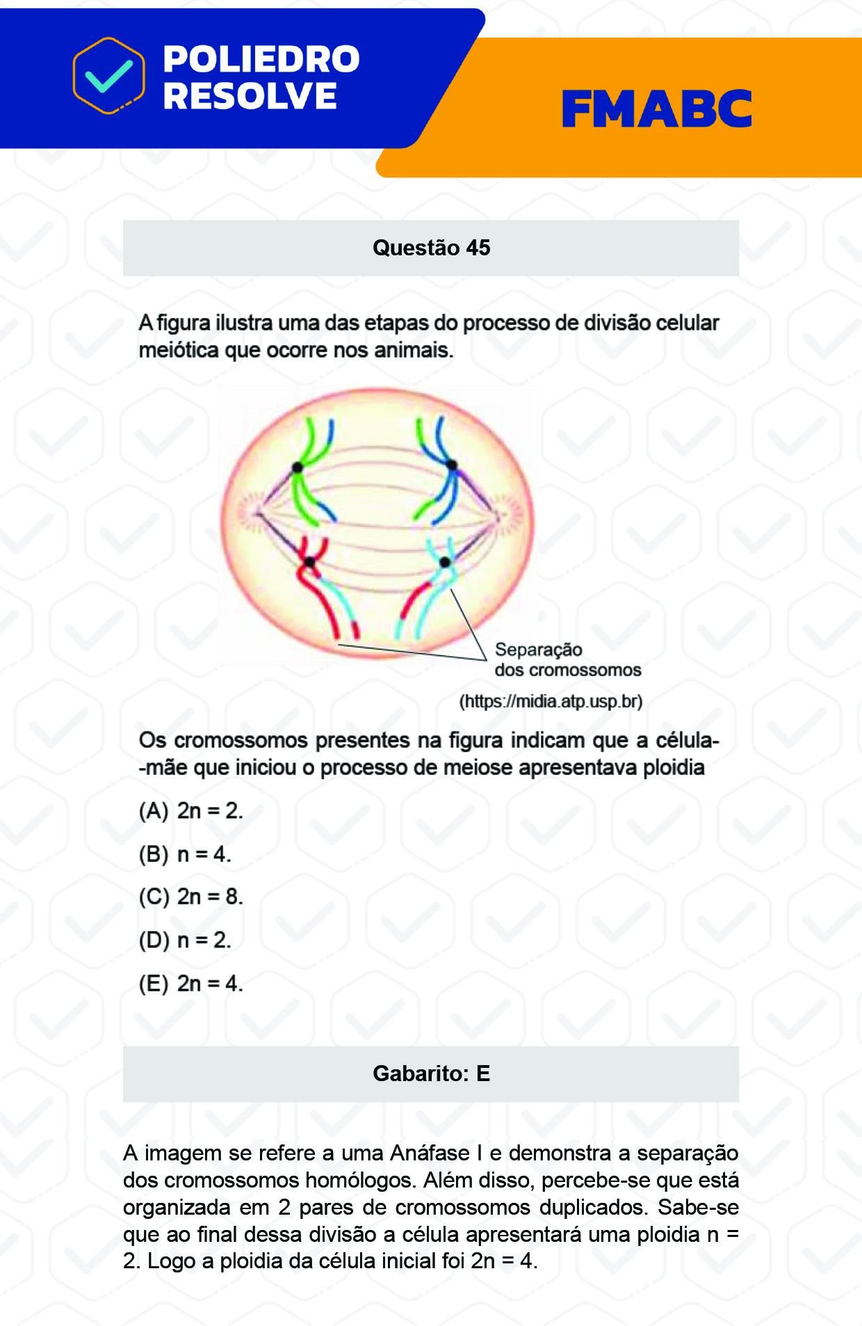 Questão 45 - Fase única - FMABC 2023