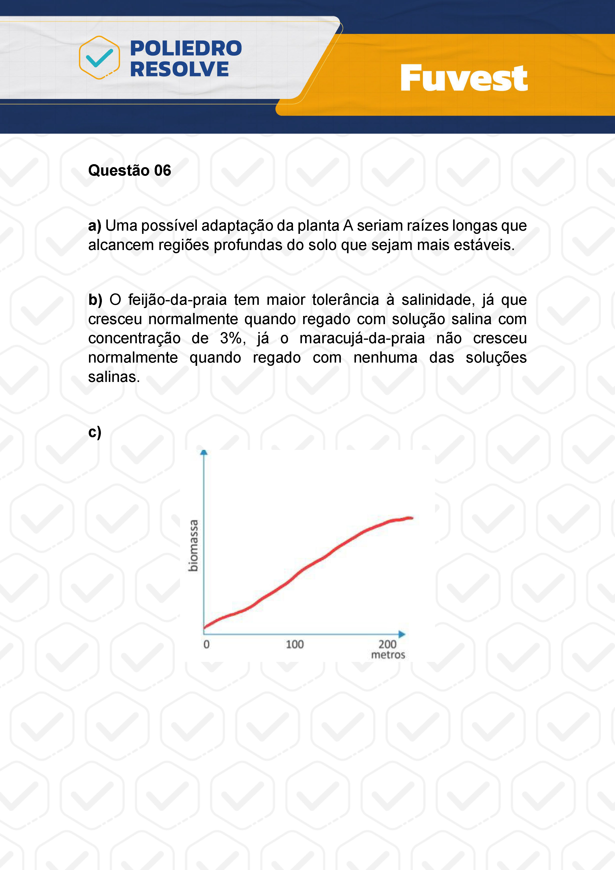 Dissertativa 6 - 2ª Fase - 2º Dia - Fuvest 2024